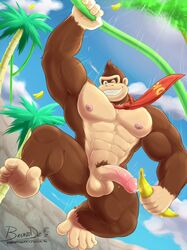 abs anthro ape areola balls banana barefoot biceps bruno-dz casual casual_nudity cum cum_on_penis donkey_kong donkey_kong_(series) english_text erection food fruit fur gorilla humanoid_penis looking_at_viewer looking_down male male_only mammal manly muscular navel necktie nintendo nipples nude one_eye_closed orgasm outside palm_tree pecs penis primate pubes smile solo spread_legs spreading sun sunlight swinging teeth text thick_arms thick_thighs tree triceps vein veiny_penis video_games vines wink