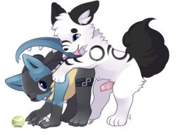 2boys all_fours alpha_channel amazonianashe ambiguous_gender animal_genitalia animal_penis anthro anthro_on_feral ass ass_up atlas_(graamis) ball bent_over black_fur blue_eyes blue_fur brent_flamelucariomon canine canine_penis claws crossover digimon doggy_style erection feet feral flamedramon fluffy from_behind from_behind_position fur hi_res husky hybrid imminent_sex licking lucario male mammal markings nintendo nude original_character paws penis pokemon pokemon_(species) pokemon_dppt simple_background slimefur smile spikes standing tail text tongue tongue_out transparent_background video_games white_fur yellow_fur zoophilia