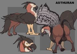 animal_genitalia animal_penis anus avian avian_feet balls beak bridle digital_media_(artwork) equine_anus equine_genitalia equine_penis european_mythology feathered_wings feathers feet feral genitals greek_mythology half-erect hasbro hi_res hippogriff hooves male mcfan model_sheet mythological_avian mythological_creature mythology open_beak open_mouth penis puffy_anus simple_background solo tail wings