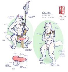 animal_genitalia animal_penis arctic_wolf armor balls bottomwear bracers canid canine canine_genitalia canine_penis canis clothing fennec_(artist) feral fur genitals jewelry knot loincloth male mammal melee_weapon model_sheet muscular necklace nude penis polearm sketch_page solo spear standing starke_(artalds) tail tattoo weapon white_body white_fur wolf