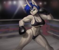 1girls 2010s 2014 abs anthro big_breasts biped black_boxing_gloves black_gloves blue_hair boxing boxing_gloves boxing_ring breasts canid canine canis cleavage clothed clothing comission dclzexon digital_media_(artwork) domestic_dog female female_only fighting_ring gloves green_eyes hair handwear hi_res highleg highleg_bottomwear horn husky hybrid mammal muscular muscular_anthro muscular_female original original_character panties solo spitz sport standing underwear wynter