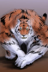 1boy anthro feline male male_only mammal penis rwolf solo tiger weretiger