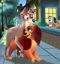 101_dalmatians 2d 4animals animated disney female feral feral_focus feral_only full_color gif lady_(lady_and_the_tramp) lady_and_the_tramp pongo quadruped sex tagme tramp