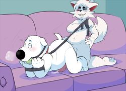 anal anal_sex anthro ball_gag brian_griffin canine duo eroborus family_guy fox furry gag kitsune_(ero) leash male male_only mammal penetration penis sofa yaoi