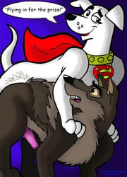 balto balto_(film) canine crossover dc_comics feral furry gay knot krypto krypto_the_superdog mammal no_humans penis rape super-pets superman_(series) tbfm