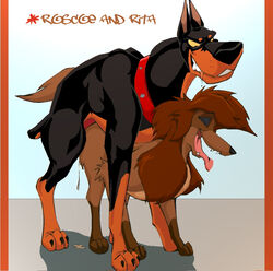 1boy 1girls afghan_hound collar disney doberman doggy_style doggy_style_position doggystyle female feral feral_on_feral furry klaus_doberman male male/female mammal oliver_and_company rita_(oliver_and_company) roscoe_(disney) sex straight