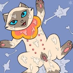 cum sagwa sagwa_the_chinese_siamese_cat tagme