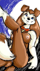 anthro canine colleen dog female female_only fur furry mammal road_rovers solo tagme