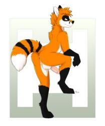 2016 anus ass balls canine fox kwik looking_at_viewer looking_back male male_only mammal nude penis raised_tail solo