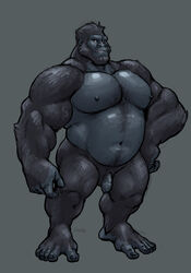 ape balls big_muscles captaingerbear flaccid front_view full-length_portrait full_length gorilla hand_on_hip haplorhine humanoid_penis male male_only mammal monkey monkey_boy monkey_feet musclegut muscular nipples nude pecs penis pinup portrait pose prehensile_feet primate signature solo standing uncut