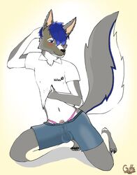 2016 anthro balls blue_hair blush canine clothed clothing cute erection fur girly guffs hair humanoid_penis legwear looking_at_viewer male mammal nipples penis simple_background smile solo stretching white_background wolf