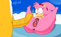 5_toes :s amy_rose anus ass barefoot blush breasts canine classic_amy_rose clitoris cloud cute dat_ass excito eyelashes fat_mons flat_chest foreskin fox headband hedgehog huge_cock imminent_sex looking_at_penis mammal nude penis penis_awe pink_fur pink_spines presenting_hindquarters presenting_pussy pubes pubic_hair pussy sega shocked slightly_chubby sonic_(series) sonic_the_hedgehog_(series) sweatdrop tails uncensored uncut veiny_penis vulpine young