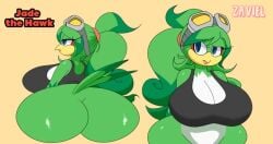 jade the hawk from sega by zaviel