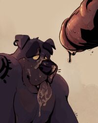 2021 anthro black_nose bodily_fluids canid canine canis chocolateandmilk cum cum_on_face cum_on_tongue dated domestic_dog duo erection fur genital_fluids genitals grey_body grey_fur humanoid_genitalia humanoid_penis male male/male mammal moobs narrowed_eyes nude open_mouth overweight overweight_anthro overweight_male penis red_penis signature simple_background solo_focus teeth tongue tongue_out vein veiny_penis