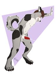 absurd_res anatomically_correct anatomically_correct_genitalia anthro bodily_fluids breath brown_hair canid canine canis cum fuergr gay gay_male genital_fluids genitals hair hand_on_wall hi_res homosexual homosexual_male male male/male male_only male_penetrating mammal orange_eyes orgasm panting solo wolf