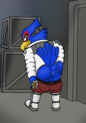 anthro anus ass avian backsack balls bird blue_body blue_feathers bottomwear bottomwear_down clothed clothing falco_lombardi feathers genitals green_eyes hi_res male nintendo pants pants_down partially_clothed solo spreading star_fox victor_the_wolf_(artist)