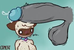 ambiguous_species anthro balls bell bell_collar big_breasts big_penis blue_glans blush blush_lines bodily_fluids breasts collar comradecat disembodied_penis domestic_cat dripping duo emanata eyelashes felid feline felis female freckled_breasts freckled_shoulders freckles fuzzy_balls genital_fluids genitals glans grey_penis huge_cock humanoid_genitalia humanoid_penis long_eyelashes low_res male male/female mammal motion_lines nervous nervous_sweat onomatopoeia penis penis_on_head precum precum_drip precum_squirt siamese simple_background sound_effects sweat sweating_profusely text vein veiny_penis