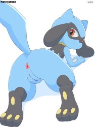 2026 3:4 absurd_res anus ass black_body black_fur blue_body blue_fur female feral fur generation_4_pokemon genitals hi_res looking_at_viewer looking_back looking_back_at_viewer nintendo pokemon pokemon_(species) riolu sarox solo vulva