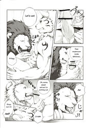 anthro balls canine comic erection feline licking lion male mammal oral penis sky_(artist) tongue tongue_out wolf yaoi