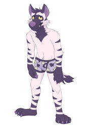 anthro barefoot boxer_briefs clothed clothing hyena lock-wolf male male_only mammal slim solo standing tenting tight_clothing topless underwear