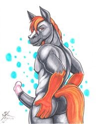 1boy 2016 animal_genitalia animal_penis anthro black_fur equine equine_penis fur gloves_(marking) hair horse horsecock male male_only mammal markings orange_hair penis shawnthegirl simple_background solo white_background