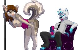 2016 alpha_channel animal_genitalia animated anthro arctic_fox ass bent_over blue_eyes blue_fur bouncing_breasts breasts brown_eyes brown_fur brown_hair canine chair clothing corset dancing female fox fur grey_eyes hair heterochromia husky hypnotickitten lingerie low_res mammal masturbation necktie pixel_art pole pole_dancing suit teasing transparent_background white_fur