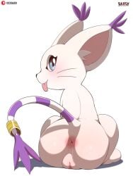2024 3:4 accessory anthro anus artist_name ass bandai_namco big_butt big_ears biped black_nose black_whiskers blep blue_eyes blush blush_lines digimon digimon_(species) digital_drawing_(artwork) digital_media_(artwork) dipstick_ears dipstick_tail ear_markings ear_tuft felid feline female female_anthro fur furgonomics gatomon genitals glistening glistening_butt glistening_genitalia glistening_pussy hi_res huge_butt humanoid_genitalia humanoid_pussy inner_ear_fluff jewelry looking_at_viewer looking_back looking_back_at_viewer mammal markings multicolored_ears nude nude_anthro nude_female pink_anus pink_inner_ear pink_inner_pussy plump_labia presenting presenting_anus presenting_hindquarters presenting_pussy purple_ear_tips purple_tail purple_tail_tip pussy raised_tail rear_view ring ring_(marking) ringed_tail sarox semi-anthro simple_background sitting solo striped_markings striped_tail stripes tail tail_accessory tail_jewelry tail_markings tail_ring text tongue tongue_out tuft whiskers white_background white_body white_fur white_inner_ear_fluff white_tail wide_hips y_anus