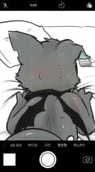 animated animated implied_sex lazycatto lazycatto_(character) plumjerry