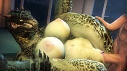 1boy 1girls 3d alphawolf77 animated argonian big_breasts deeja huge_breasts human_on_anthro human_on_humanoid scalie scalie_female scalie_humanoid skyrim sound tagme vaginal_penetration vaginal_sex video