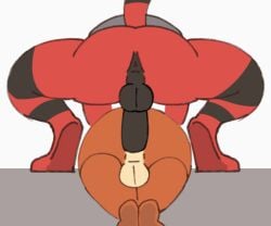 2025 anal anal_sex animated anthro ass balls buizel colored digital_media_(artwork) doggy_style duo erection from_behind_position generation_4_pokemon generation_7_pokemon genitals incineroar knightferret lying male male/male mounting nintendo on_front penetration penile penile_penetration penis pokemon pokemon_(species) rear_view sack sex short_playtime size_difference