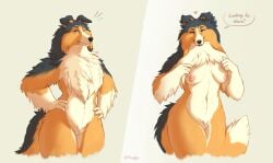 anthro biped blue_eyes brown_body brown_fur canid canine canis dialogue domestic_dog female floppy_ears fluffy fluffy_chest fluffy_tail fur genitals hands_on_hips herding_dog looking_at_viewer mammal nude nude_female pastoral_dog pussy sheepdog shetland_sheepdog solo speech_bubble tail tenynn wide_hips