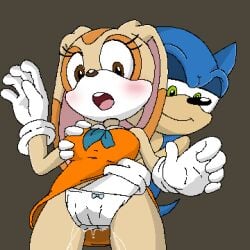 cream_the_rabbit female fingering furry hedgehog male male/female panties pixel_art pussy rabbit sonic_(series) sonic_the_hedgehog sonic_the_hedgehog_(series) sonic_x spanky15