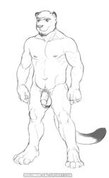 anthro ball_scruff balls brother cougar feline incest kevin_sanders male male_only mammal mature muscular nude penis pudge sibling simple_background sketch solo spelunker_sal white_background