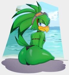 1boy anthro ass beach beak big_butt bikini bulge bulge_from_behind clothing cosmorat eyewear eyewear_on_head feathers goggles goggles_on_head green_body green_feathers hi_res jet_the_hawk looking_at_viewer male male_only sea sega sky solo sonic_(series) sonic_riders sonic_the_hedgehog_(series) swimwear thick_thighs two-piece_swimsuit water wide_hips