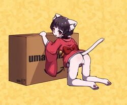 amazon_(company) artist_request black_hair brand_name_imitation feline furry japanese_clothes pussy red_eyes short_hair