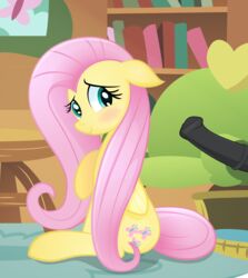 blue_eyes blush book bookshelf cutie_mark ears_down equine eyelashes fluttershy_(mlp) friendship_is_magic hair horse mammal my_little_pony pegasus penis pink_hair pony rainbownspeedash smile straight_hair table wings