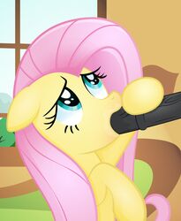 blue_eyes blush book bookshelf ears_down equine eyelashes fellatio fluttershy_(mlp) friendship_is_magic hair handjob horse mammal my_little_pony open_mouth oral pegasus penis pink_hair pony rainbownspeedash sex smile straight_hair tongue tongue_out window wings