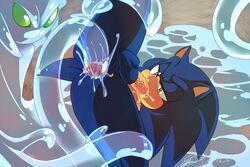 chaos (sonic) from sonic (series) by soina