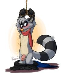 anthro balls belly blush bondage bondage bottomwear bottomwear_down bound chest_tuft clothed clothing embarrassed foreskin genitals hands_above_head male mammal nude orlandofox pants pants_down partially_clothed penis procyonid raccoon ringo_raccoon rope scarf solo tuft