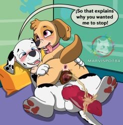 after_sex animal_genitalia animal_penis animal_vulva anus balls blue_eyes blush blush_lines bodily_fluids butt butt_grab canid canine canine_genitalia canine_penis canine_vulva canis cel_shading cockapoo collar dalmatian domestic_dog duo english_text female feral fur genital_fluids genitals hand_on_butt hi_res knot knotted_penis looking_pleasured lying male male/female mammal marking_territory markings marshall_(paw_patrol) marvispot84 mixed_breed nickelodeon on_back paw_patrol paws peeing peeing_on_another peeing_on_penis penis pink_eyes presenting presenting_hindquarters presenting_vulva shaded sitting sitting_on_another skye_(paw_patrol) speech_bubble spots spotted_body spotted_fur tan_body tan_fur text tongue tongue_out urine urine_on_penis vaginal_fluids vulva wet wet_body wet_fur wet_penis white_body white_fur