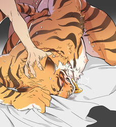 2boys anal anthro furry gay grabbing_from_behind human_on_anthro interspecies lin_hu male_only multiple_boys muscle nekojishi penetration sex solo_focus thrusting tiger yaoi