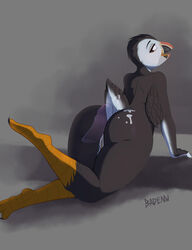 2016 Rule 34 Image