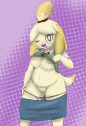 animal_crossing biting_lip blush breasts canine clothed clothing female isabelle_(animal_crossing) knullox larrybay2 mammal nintendo panties presenting pussy slightly_chubby thick_thighs underwear video_games