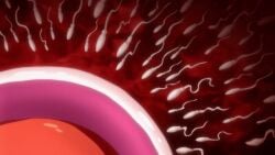 2022 20s animated animated_gif bunnywalker cross-section cum female fertilization impregnation kurashiki_reika ovum saimin_seishidou saimin_seishidou_-secret_lesson- sperm_cell t-rex_(animation_studio) tagme