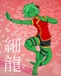 2010 chinese_text clothed kung_fu lizard male martial_arts penis_outline posing scalie solo standing text tyelle_niko