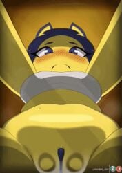 1girls 2026 2d animal_crossing animated ankha anthro atotekio below_view blue_eyes blue_hair blush blush_lines blushing bottomless bottomless_female facesitting facesitting_pov feline female female_only furry furry_female grinding_pussy hair loop nintendo pussy pussy_focus solo solo_female twitter_link vagina yellow_body