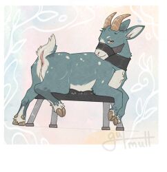 Muzzle (Object) Rule 34 Image