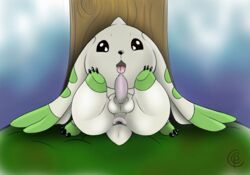 anus ass balls cocampplus_(artist) digimon male male_only penis presenting terriermon tongue tongue_out