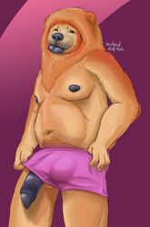 2016 4_fingers anthro balls belly big_balls big_penis black_skin boxer_briefs brown_eyes bulge canine chow_chow clothing flaccid front_view fur hi_res huge_cock humanoid_penis long_foreskin looking_at_viewer male male_only mammal mane moobs nipples orange_fur overweight overweight_male peeping penis pink_underwear sexbad shaded signature simple_background sketch slightly_chubby smile solo standing tongue uncut underwear