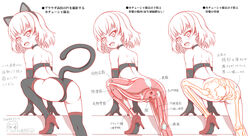 anatomy animal_ears anus ass blush bone bottomless cat_ears cat_tail choker female girls_und_panzer gloves high_heels katyusha leg_up looking_at_viewer looking_back monochrome muscle open_mouth pussy sekai_saisoku_no_panda short_hair simple_background skeleton tail text translation_request